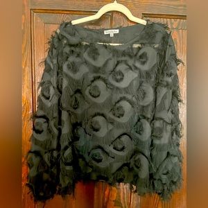 A shear blouse with feather like accents.